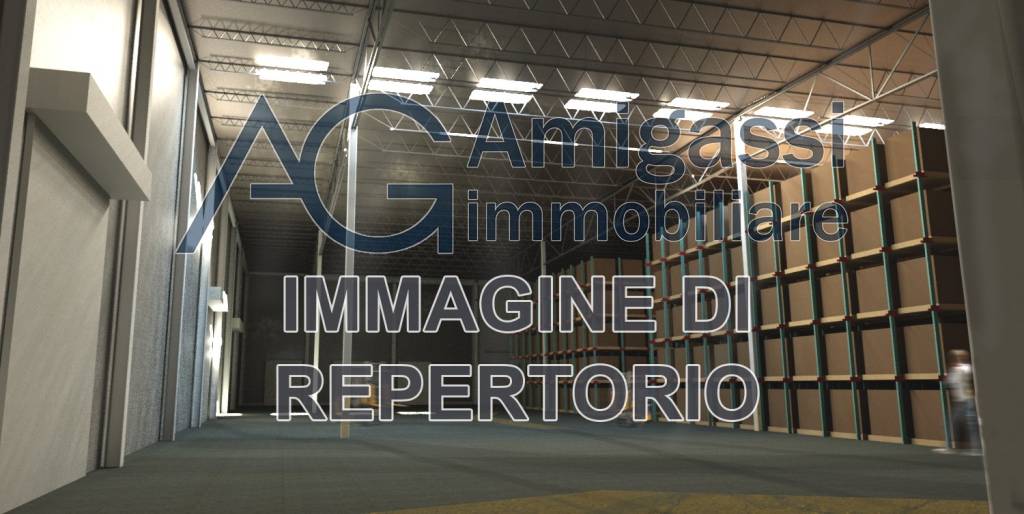 locale commerciale in affitto a Zanica