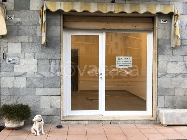 bivano in affitto a Banchette