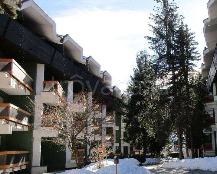 appartamento in affitto a Bardonecchia
