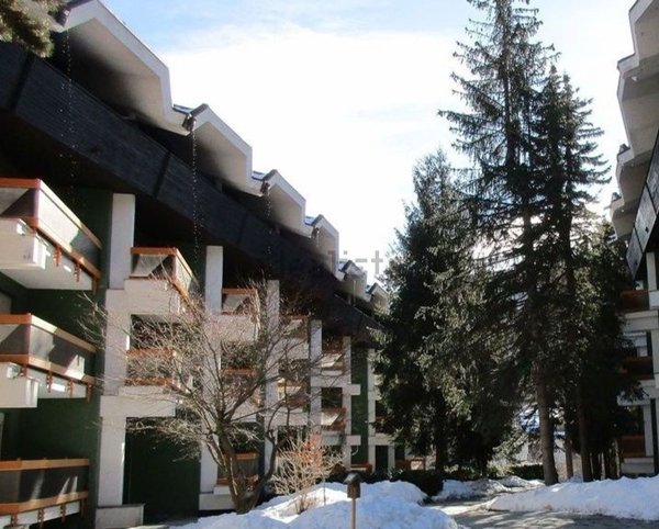 appartamento in affitto a Bardonecchia