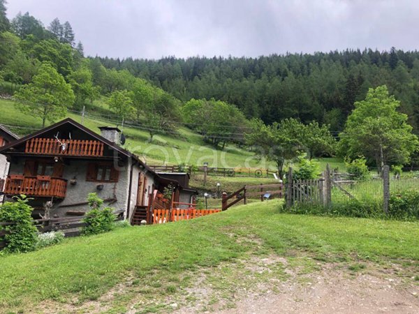 appartamento in affitto a Bardonecchia