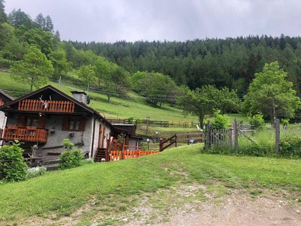 appartamento in affitto a Bardonecchia