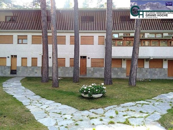 appartamento in affitto a Bardonecchia
