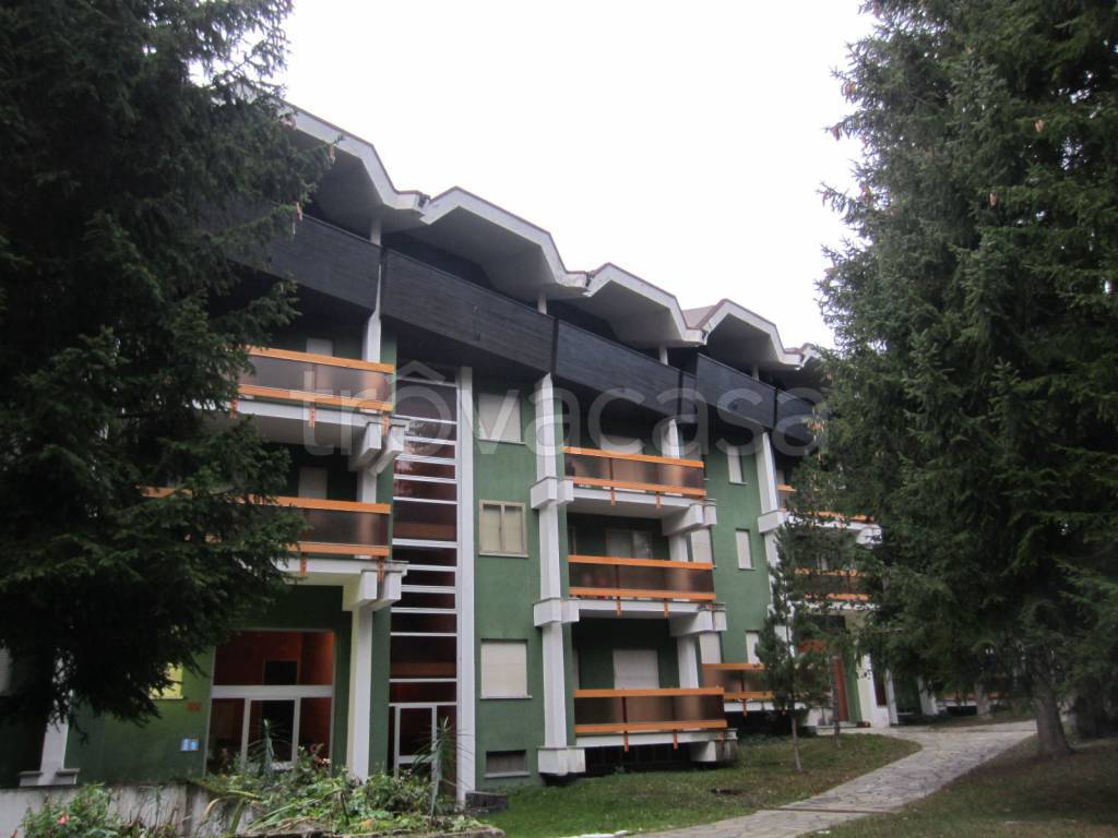 appartamento in affitto a Bardonecchia