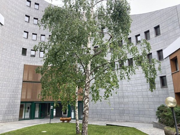 appartamento in affitto a Bardonecchia