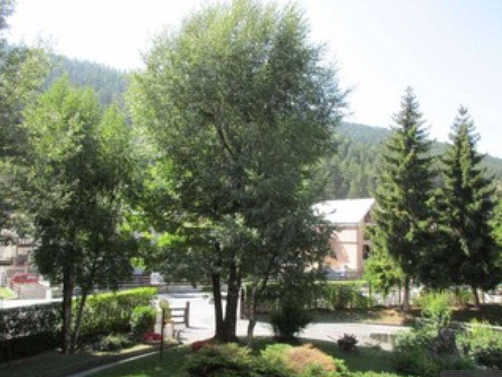 appartamento in affitto a Bardonecchia