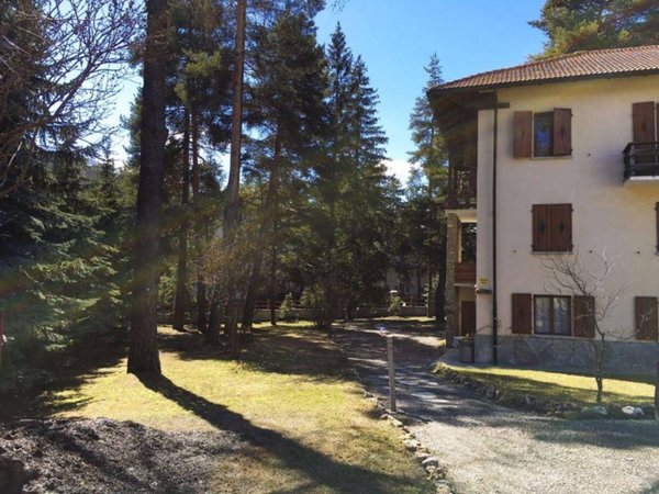 appartamento in affitto a Bardonecchia