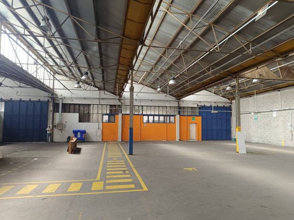 locale commerciale in affitto a Beinasco