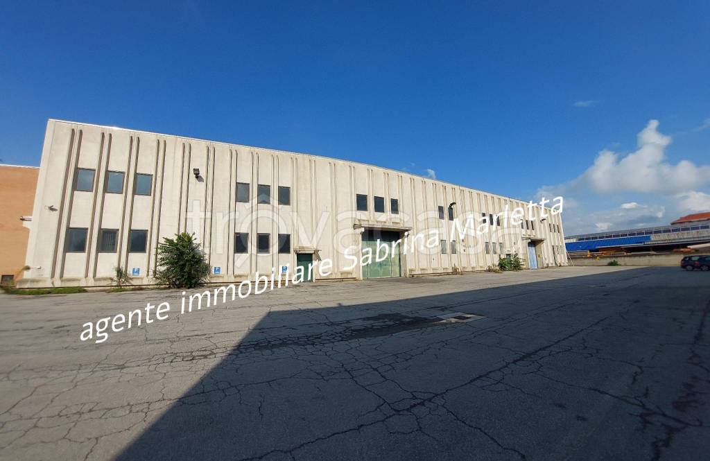 capannone in affitto a Beinasco
