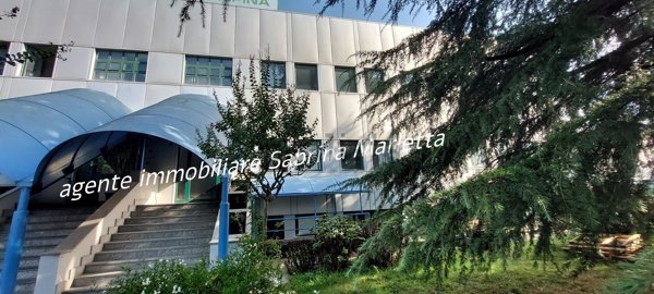 capannone in affitto a Beinasco