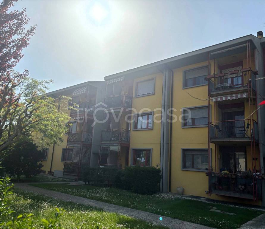 appartamento in affitto a Beinasco in zona Borgaretto