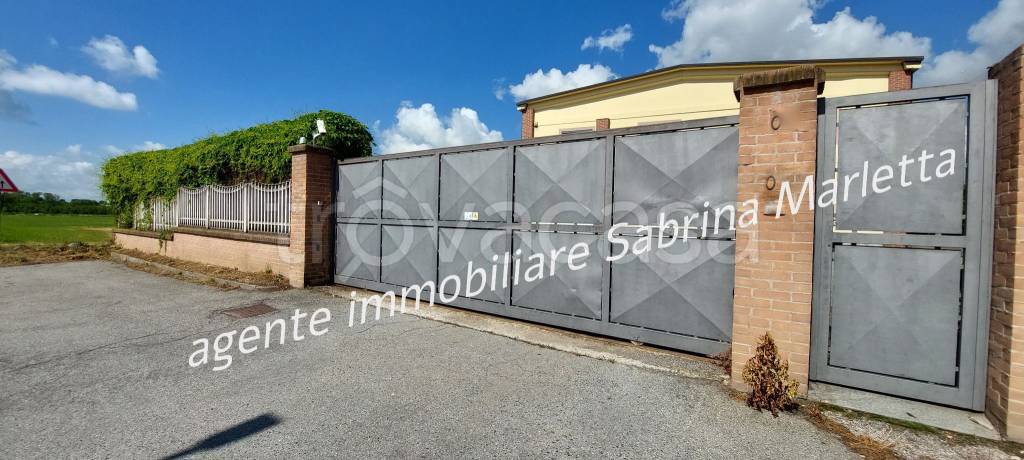 locale commerciale in affitto a Beinasco in zona Borgaretto