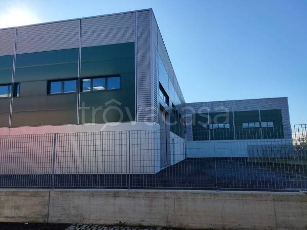 locale commerciale in affitto a Beinasco in zona Borgaretto