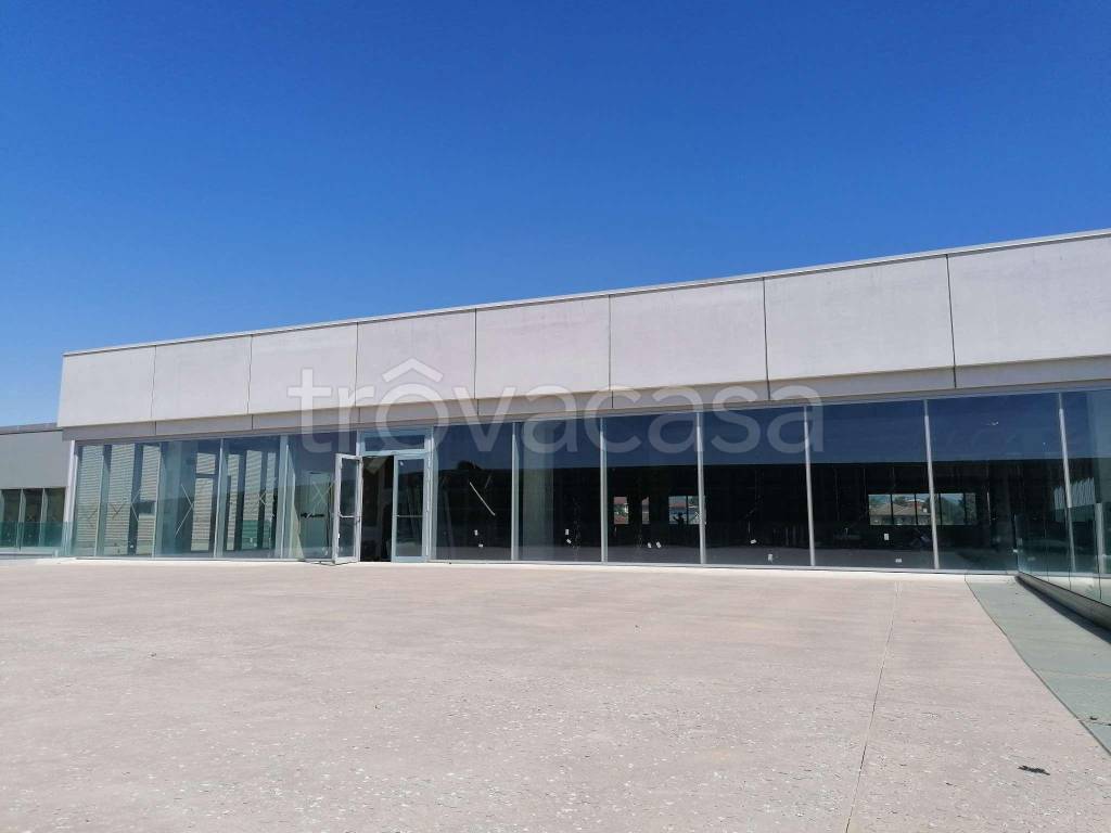 negozio in affitto a Cambiano