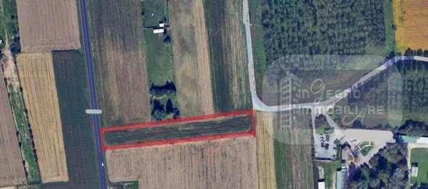 terreno agricolo in affitto a Carignano