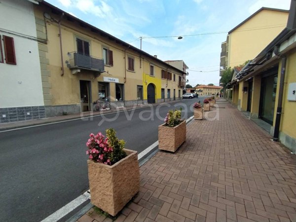 appartamento in affitto a Caselle Torinese