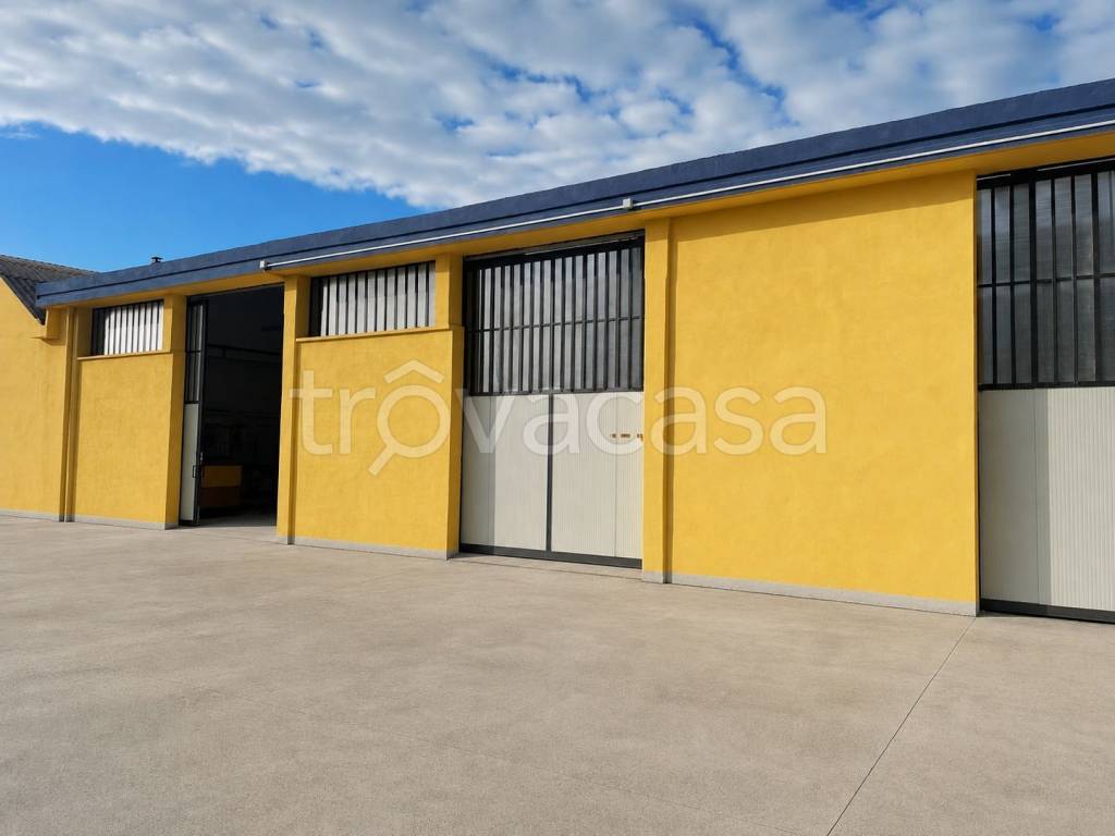 appartamento in affitto a Caselle Torinese