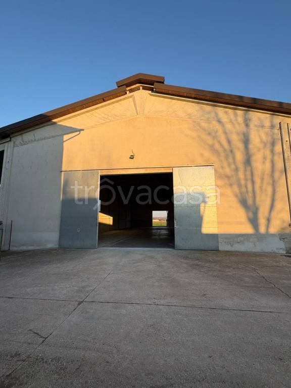 appartamento in affitto a Bedizzole in zona Piazza