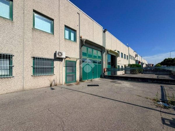 appartamento in affitto a Bedizzole in zona Cogozzo