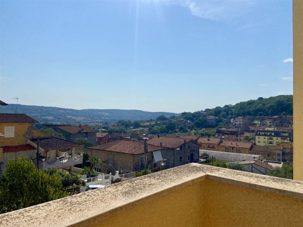 appartamento in affitto a Berzo Demo in zona Monte