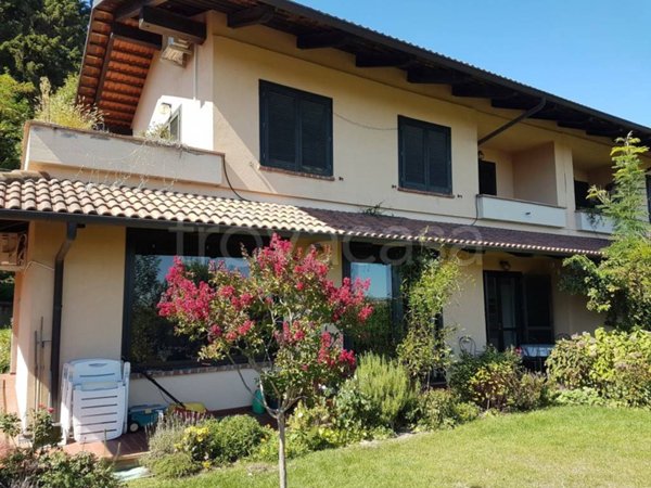 casa indipendente in affitto a Castagneto Po