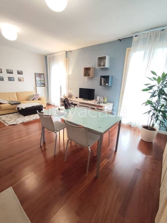 immagine annuncio 0 di 15