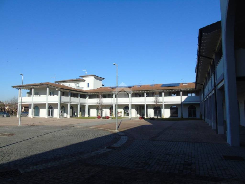 immagine annuncio 0 di 15