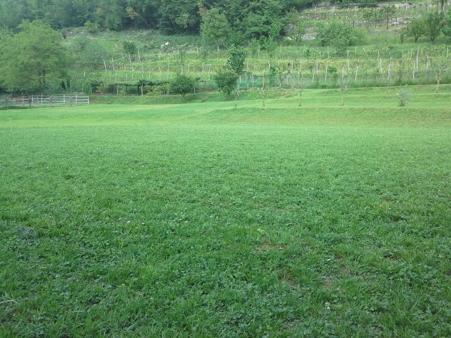 appartamento in affitto a Brescia