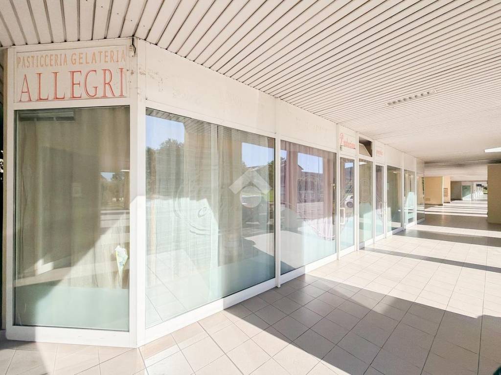 immagine annuncio 0 di 15