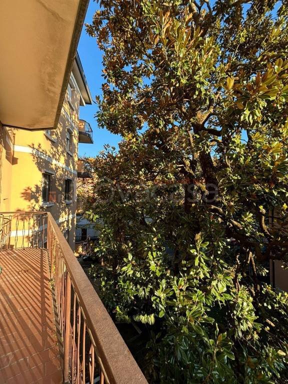 appartamento in affitto a Brescia in zona Borgo Trento