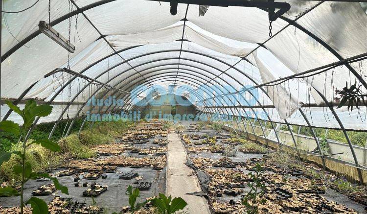 locale commerciale in affitto a Brescia in zona Caionvico