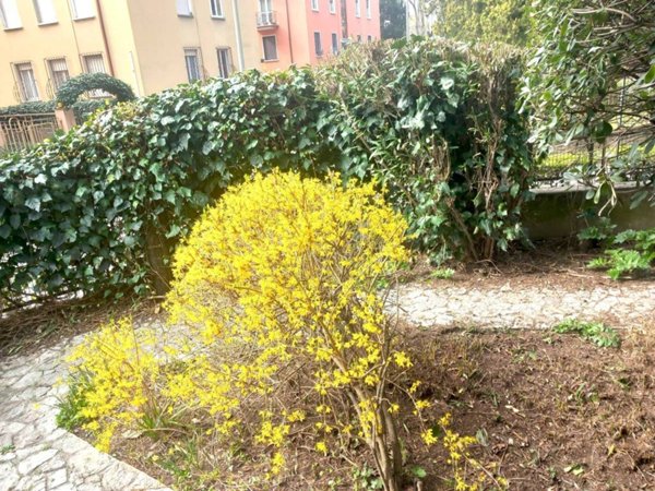 appartamento in affitto a Brescia in zona Porta Venezia