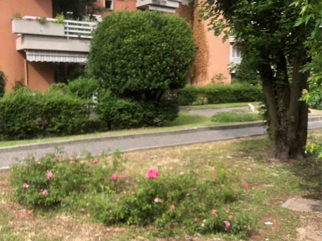 appartamento in affitto a Brescia in zona Borgo Trento