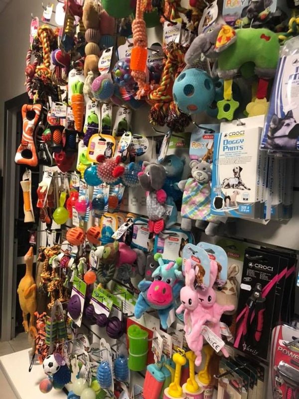 negozio in affitto a Calvisano