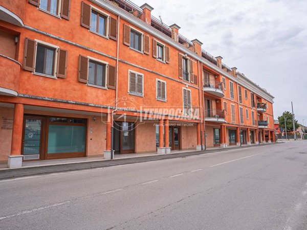 appartamento in affitto a Carpenedolo