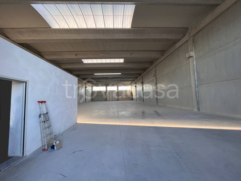 immagine annuncio 0 di 15
