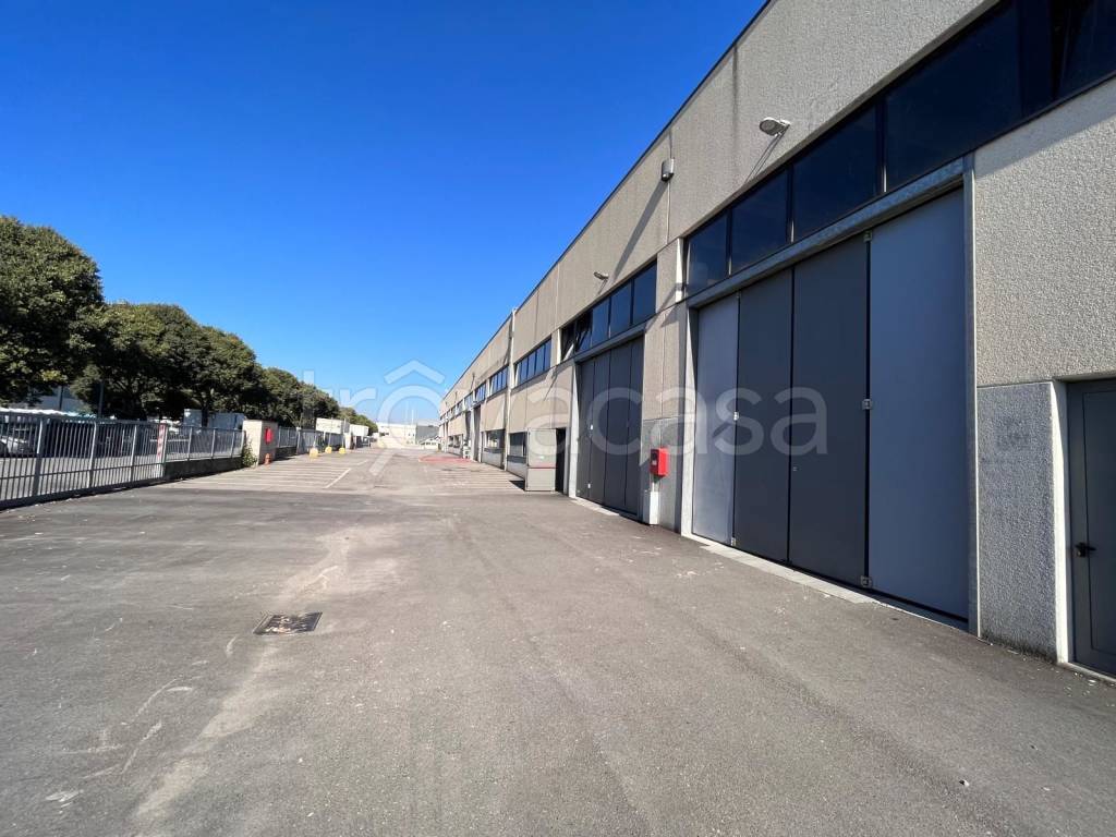 capannone in affitto a Castenedolo