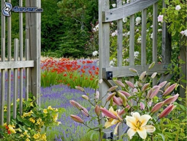 camera singola in affitto a Cevo in zona Isola