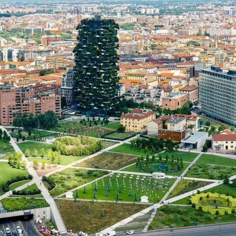 appartamento in affitto a Cevo in zona Isola