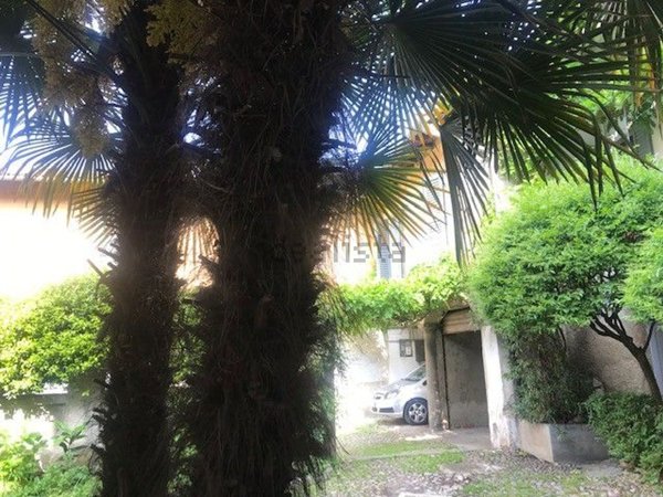 appartamento in affitto a Chiari