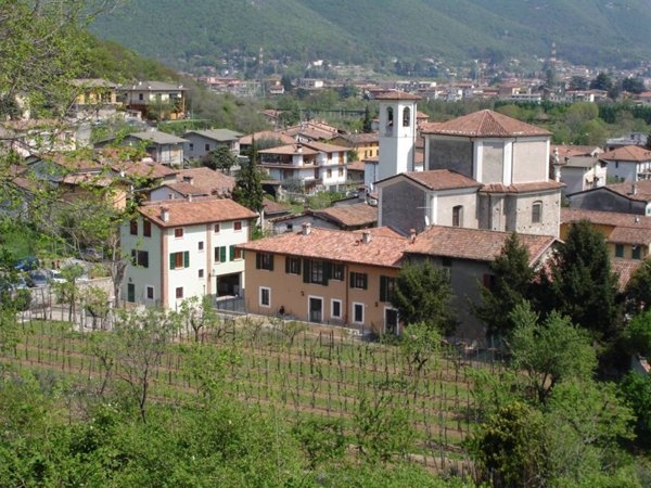 casa indipendente in affitto a Collebeato