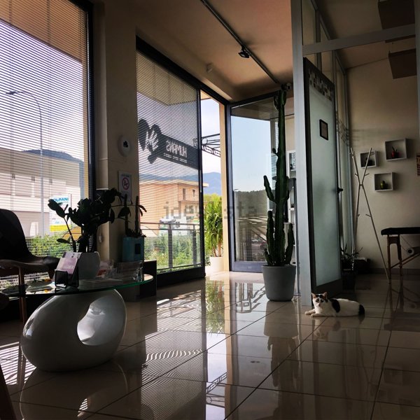 ufficio in affitto a Concesio