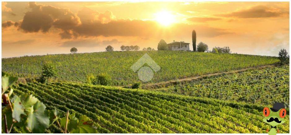 appartamento in affitto a Corte Franca