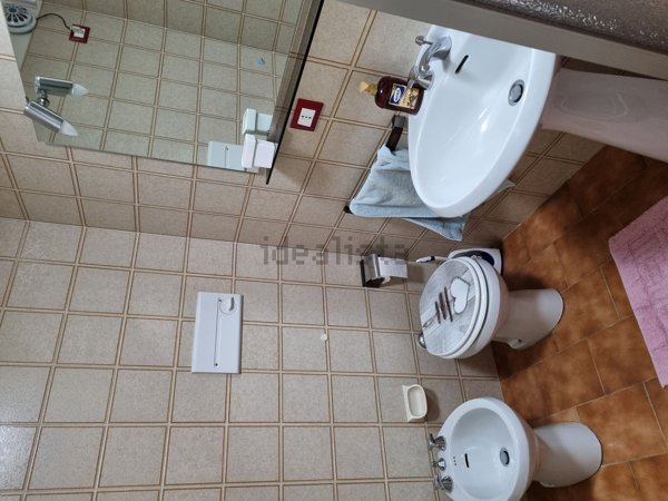 appartamento in affitto a Corteno Golgi