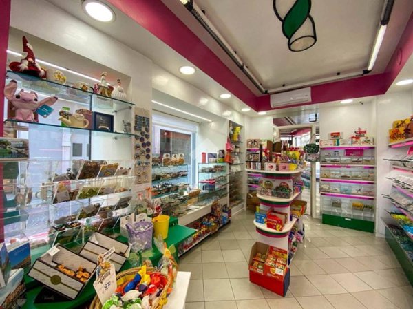 appartamento in affitto a Desenzano del Garda