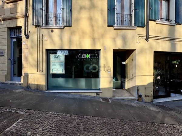 appartamento in affitto a Desenzano del Garda
