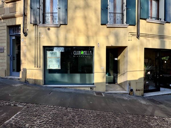 appartamento in affitto a Desenzano del Garda