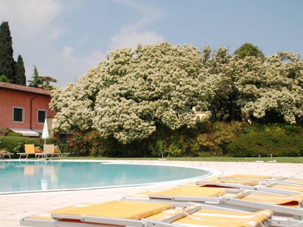 appartamento in affitto a Desenzano del Garda in zona Rivoltella