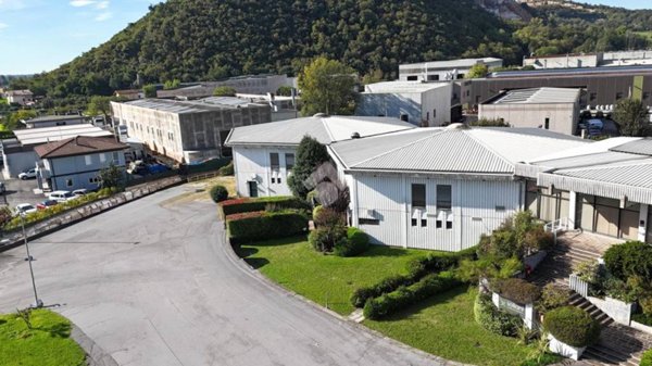 negozio in affitto a Gavardo