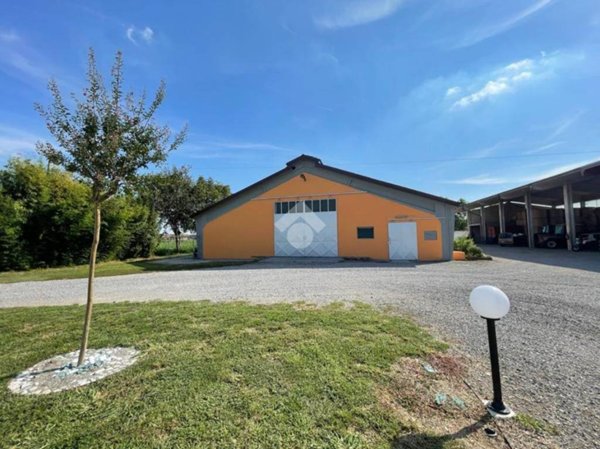 appartamento in affitto a Ghedi